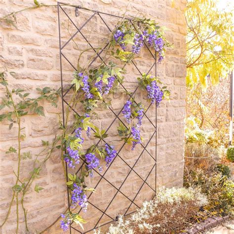 Diamond Lattice Trellis Panels - Harrod Horticultural