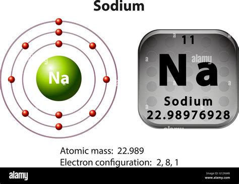 Symbol and electron diagram for Sodium illustration Stock Vector Image & Art - Alamy