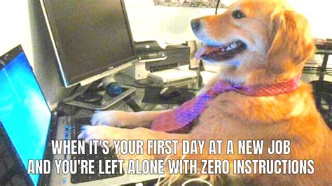 Uncomfortable on the First Day of Work Meme | The learning experience, Work memes, First day of work