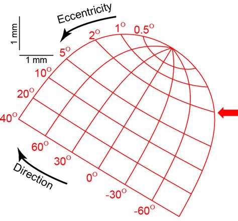 New model of superior colliculus topography – Hafed Lab