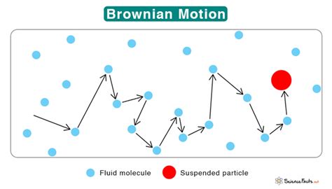 Brownian Motion: Definition and Examples