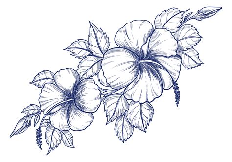 Simple Drawing Designs Of Flowers