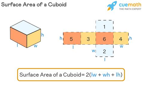 Top 8 what is total surface area of cuboid 2022