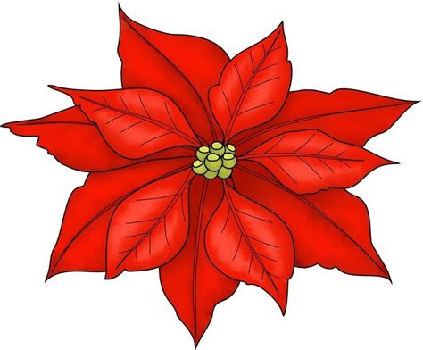 Christmas Flower Clipart at GetDrawings | Free download