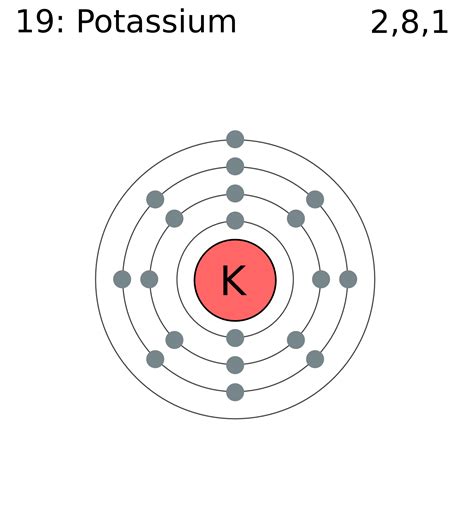 File:Electron shell 019 potassium.png - Wikimedia Commons