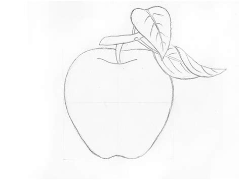 How to draw an apple with a pencil step-by-step drawing tutorial