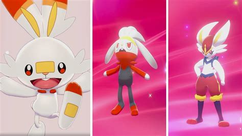 Pokemon Images: Pokemon Sword And Shield Scorbunny Evolutions