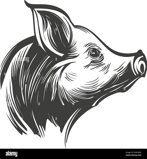 pig hand drawn vector illustration realistic sketch Stock Vector Image & Art - Alamy