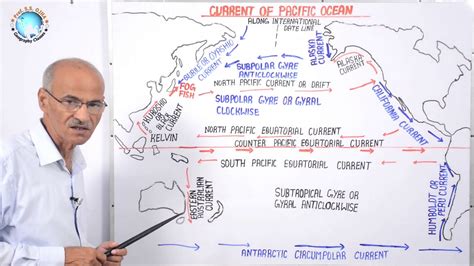 Pacific Ocean Currents