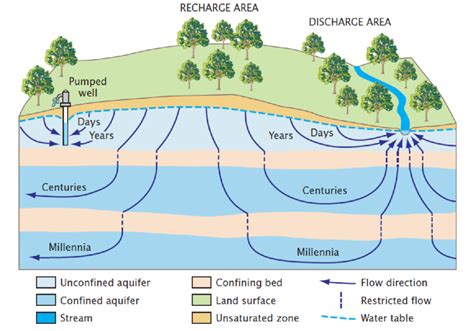 Water Table Aquifer Diagram