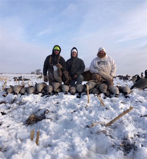 Pheasant Hunting Guides in South Dakota - Photo Gallery