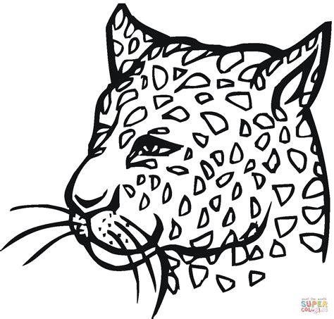 Cute Baby Cheetah Coloring Pages - Coloring Home