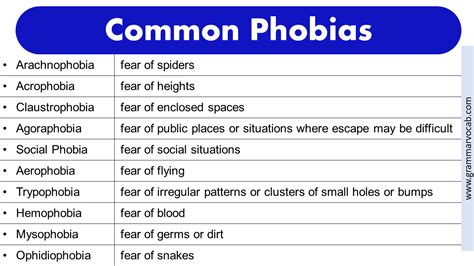 List of Phobias: Funny Phobias - Rarest Phobias -Weird Phobias | PDF - GrammarVocab