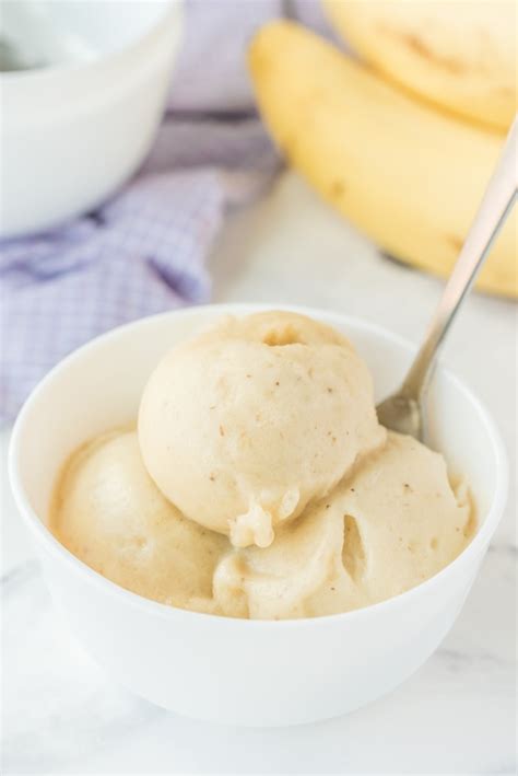 Yonanas Recipes No Bananas | Dandk Organizer