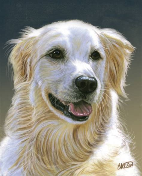 Stunning "Golden Retriever" Artwork For Sale on Fine Art Prints