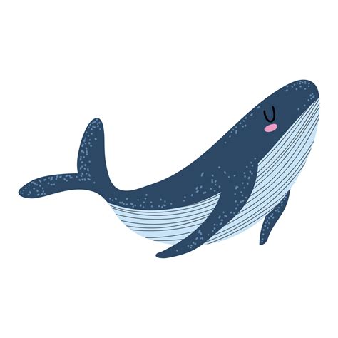 Whale Vector Art, Icons, and Graphics for Free Download