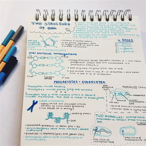 18 Gorgeous Study Notes That Should Be Framed As Art