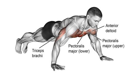 Regular Vs Wide Vs Close Grip Push Up Exercise Guide