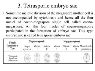 Types of embryo sac | PPT