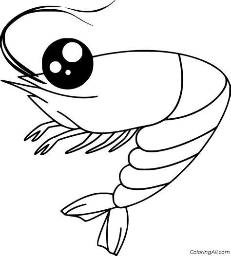 Shrimp Coloring Pages (17 Free Printables) - ColoringAll