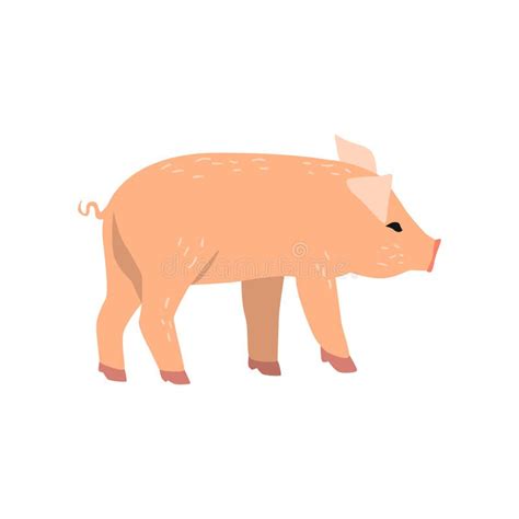 Little Funny Pig, Side View Cartoon Vector Illustration on a White Background Stock Vector ...