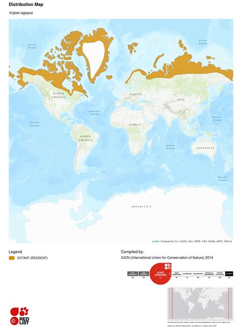 where is a arctic fox habitat location Fox arctic habitat infographic information foxes animals ...