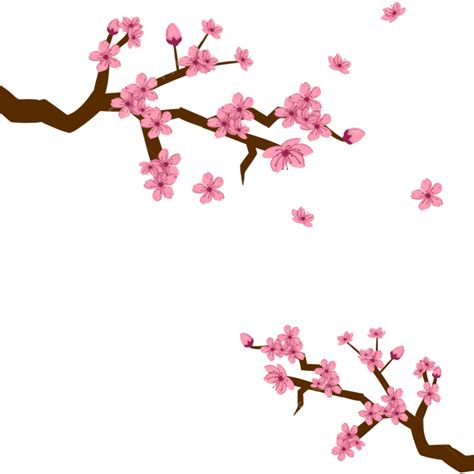 Cherry Blossoms Fall, Pink, Flower, Cherry Blossoms PNG Transparent Clipart Image and PSD File ...