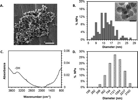 Chemical and physical characterization of iron oxide nanoparticles. (A)... | Download Scientific ...