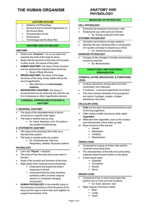 Anatomy and Physiology Chapter 1 Notes.pdf