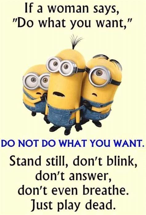 40 Funny Minions Quotes with Images - SliControl.Com