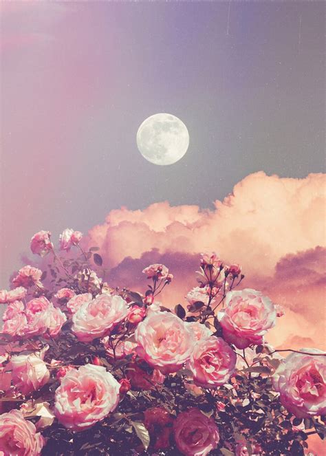 Plakát, obraz Aesthetic Rose Clouds and Full Moon | Dárky a merch | Posters.cz