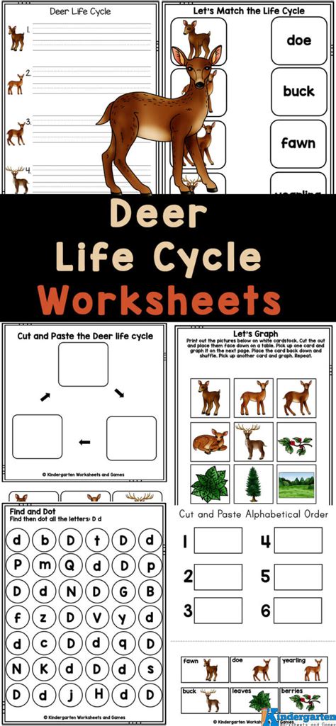 FREE Ant Life Cycle for Kids Printable Worksheets