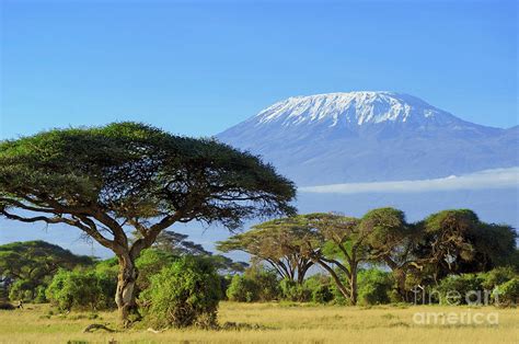 Snow On Top Of Mount Kilimanjaro Photograph by Volodymyr Burdiak