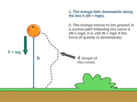 Does Gravity Do Work? (With Step-By-Step Examples) – Profound Physics