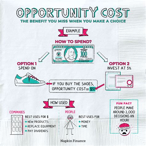 What is Opportunity Cost | Investment Opportunities | Napkin Finance