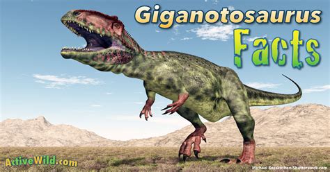 Giganotosaurus Facts, Information & Pictures For Kids, Students & Adults