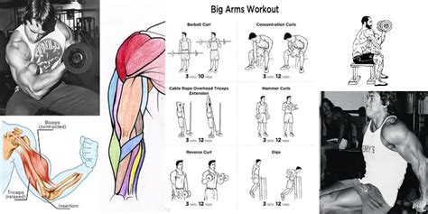 Biceps Triceps Superset Workout - Arnold used to workout during his days