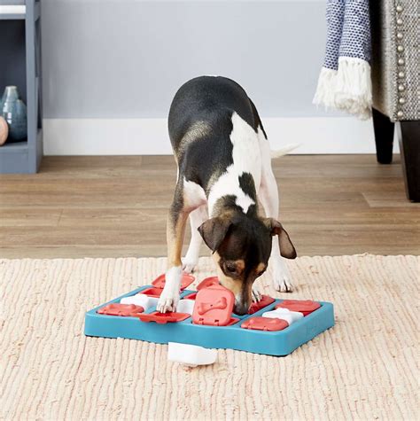 The 8 Best Dog Puzzle Toys of 2022