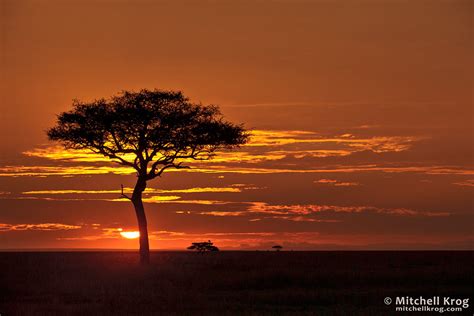 Iconic African Sunrise - Landscape Photos of Maasai Mara, Kenya