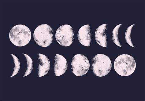 Vector Moon Phases - Download Free Vector Art, Stock Graphics & Images