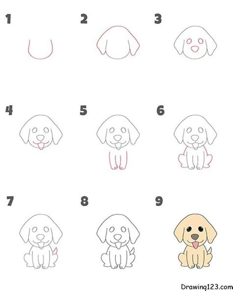 How To Draw A Dog Face Step By Step - Infoupdate.org