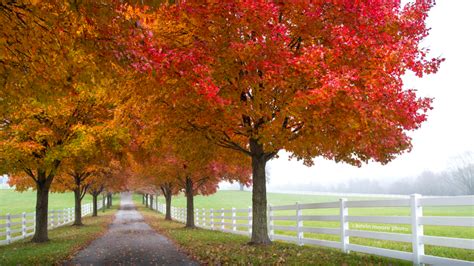 Take a Maryland Fall Foliage Trip | Visit Maryland