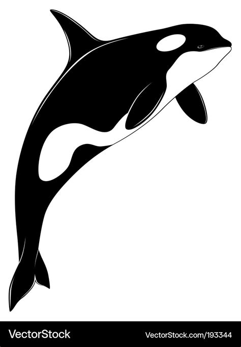 Killer whale tattoo Royalty Free Vector Image - VectorStock