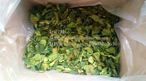 Dried Lemon Leaves/ Slice Dried Lemon Leaves/ Dried Lime Leaves - Buy Dried Lemon Leaves,Dried ...