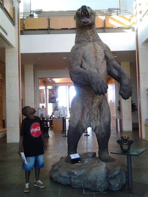 Short-Faced Bear | Extinct Animals