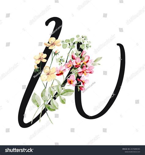 Floral Alphabet Letter W Watercolor Flowers Stock Illustration 2175890341 | Shutterstock