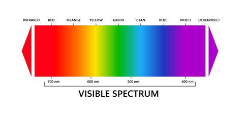 Visible light spectrum, infared and ultraviolet. Electromagnetic visible color spectrum for ...