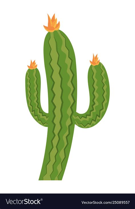 Desert cactus cartoon Royalty Free Vector Image