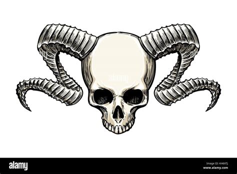 Human skull with ram horns drawn in sketh tattoo style isolated on white. Vector illustartion ...