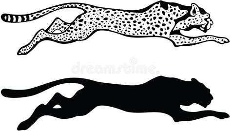 Running Cheetah stock vector. Illustration of powerful - 55325619